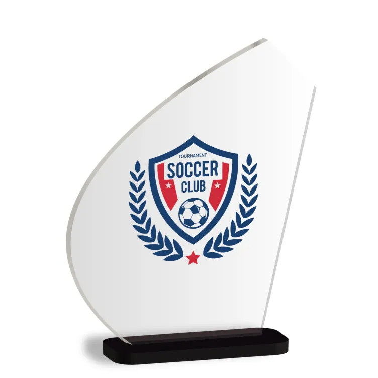 Trofeo de metacrilato moderno 