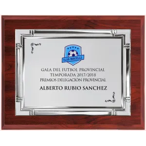 Placa de Reconocimiento Metálica