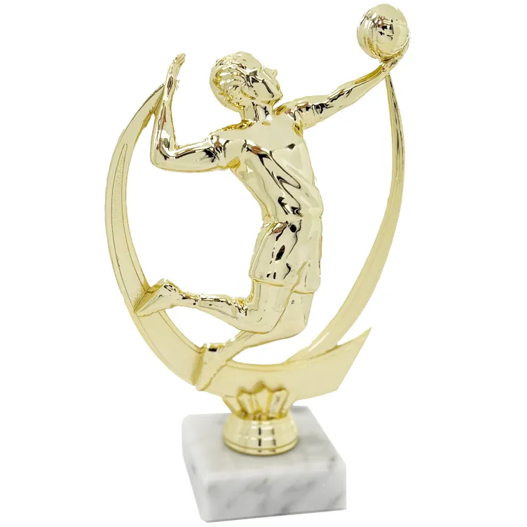 Trofeo de Voleibol