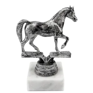 Trofeo de Equitación