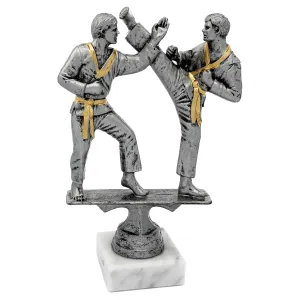 Trofeo de Artes Marciales