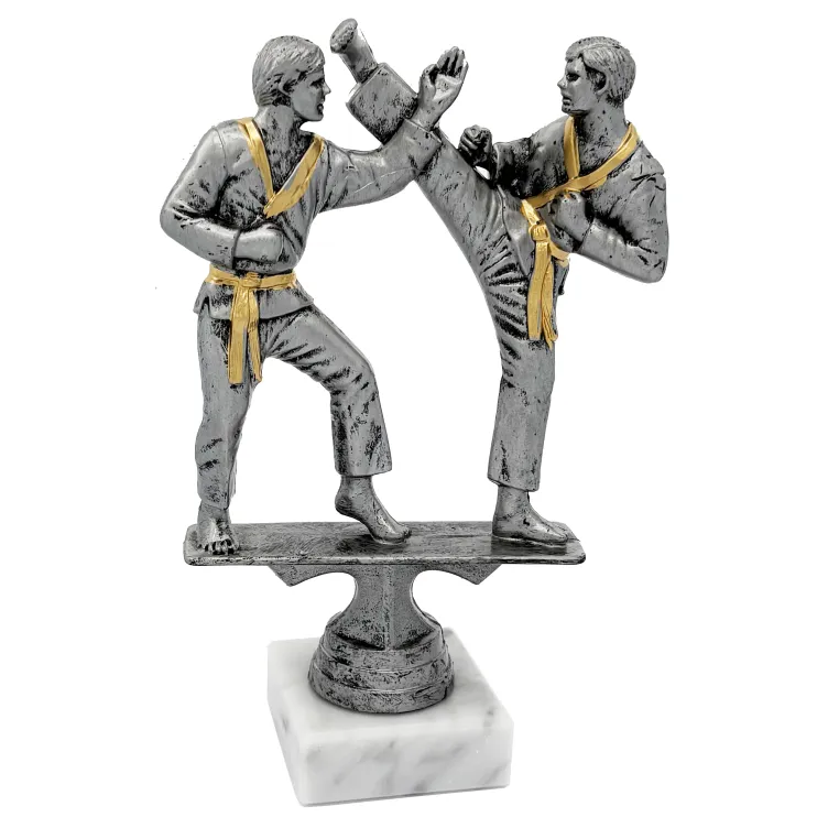 Trofeo de Artes Marciales