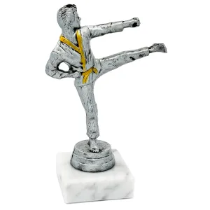 Trofeo de Artes Marciales